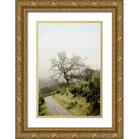 Oak Tree - 45 Gold Ornate Wood Framed Art Print with Double Matting by Blaustein, Alan