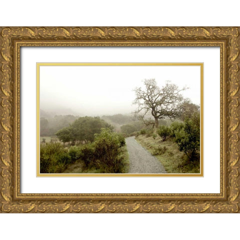 Oak Tree - 44 Gold Ornate Wood Framed Art Print with Double Matting by Blaustein, Alan
