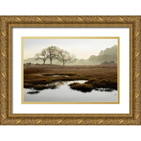 Oak Tree - 65 Gold Ornate Wood Framed Art Print with Double Matting by Blaustein, Alan