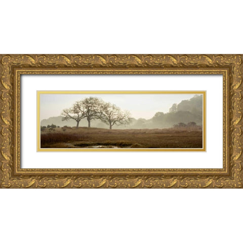 Oak Tree - 64 Gold Ornate Wood Framed Art Print with Double Matting by Blaustein, Alan