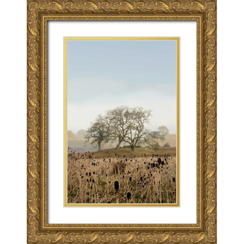Oak Tree - 67 Gold Ornate Wood Framed Art Print with Double Matting by Blaustein, Alan