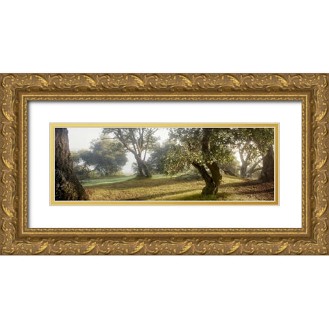 Oak Tree - 71 Gold Ornate Wood Framed Art Print with Double Matting by Blaustein, Alan