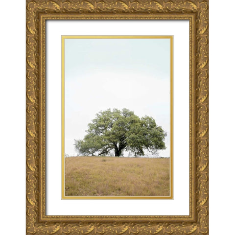 Oak Tree - 73 Gold Ornate Wood Framed Art Print with Double Matting by Blaustein, Alan