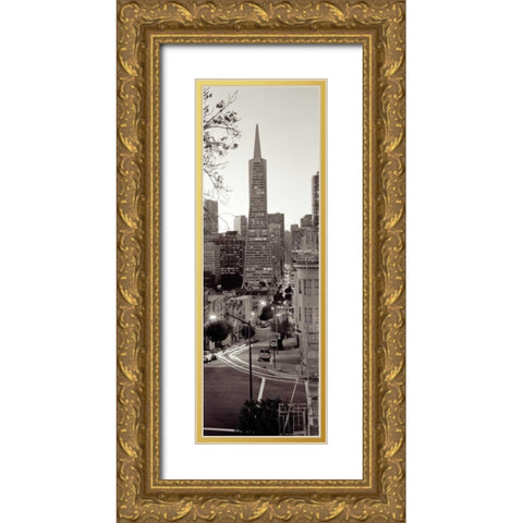 Transamerica Pano - 1 Gold Ornate Wood Framed Art Print with Double Matting by Blaustein, Alan
