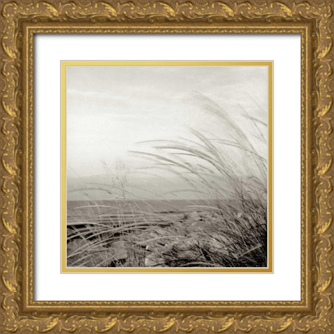 Tuscan Coast Dunes - 1 Gold Ornate Wood Framed Art Print with Double Matting by Blaustein, Alan
