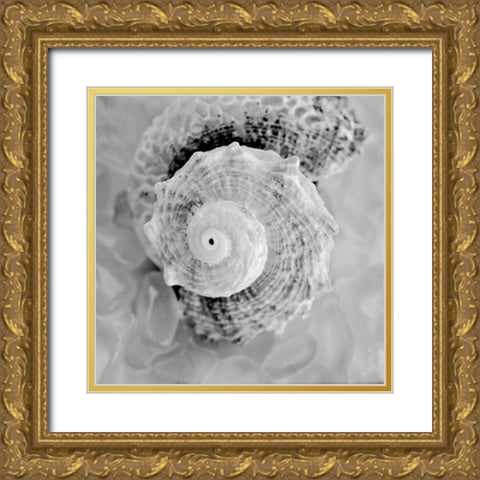 Crystal Cove - 41 Gold Ornate Wood Framed Art Print with Double Matting by Blaustein, Alan