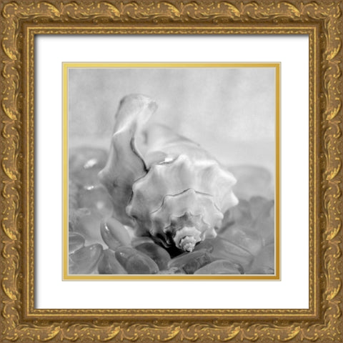 Crystal Cove - 42 Gold Ornate Wood Framed Art Print with Double Matting by Blaustein, Alan
