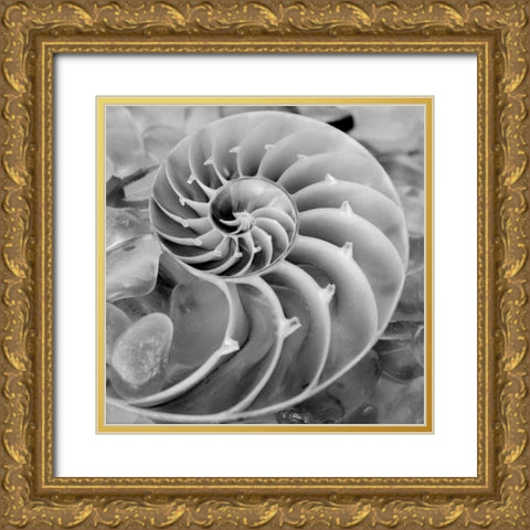 Crystal Cove - 44 Gold Ornate Wood Framed Art Print with Double Matting by Blaustein, Alan