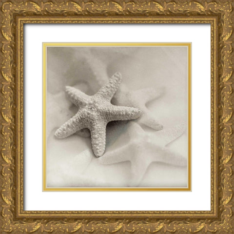 Crystal Harbor - 18 Gold Ornate Wood Framed Art Print with Double Matting by Blaustein, Alan