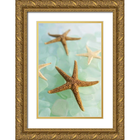 Crystal Cove - 30 Gold Ornate Wood Framed Art Print with Double Matting by Blaustein, Alan
