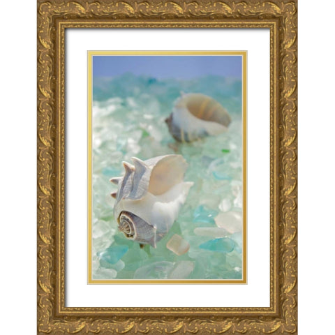 Crystal Harbor - 1 Gold Ornate Wood Framed Art Print with Double Matting by Blaustein, Alan