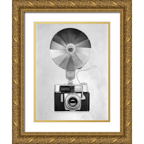 Retro Point and Shoot - 24 Gold Ornate Wood Framed Art Print with Double Matting by Blaustein, Alan