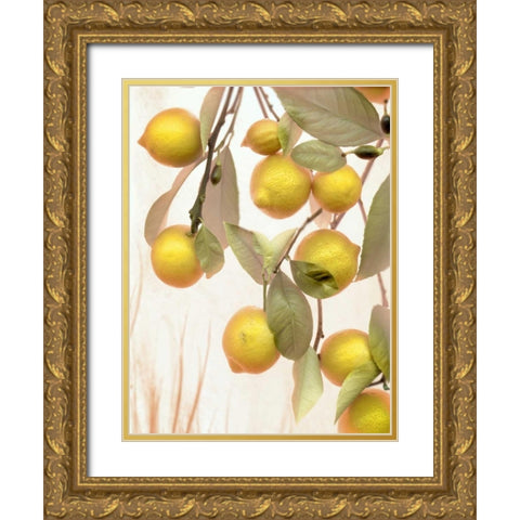 Lemons - 1 Gold Ornate Wood Framed Art Print with Double Matting by Blaustein, Alan