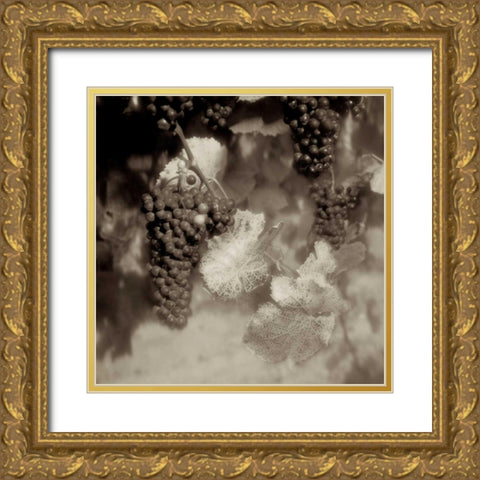 Grapes Sepia - 40A Gold Ornate Wood Framed Art Print with Double Matting by Blaustein, Alan