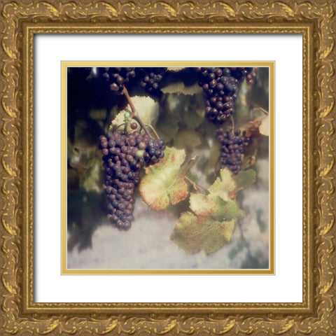 Grapes Color - 40 Gold Ornate Wood Framed Art Print with Double Matting by Blaustein, Alan