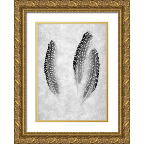 Feather B-W - 2 Gold Ornate Wood Framed Art Print with Double Matting by Blaustein, Alan