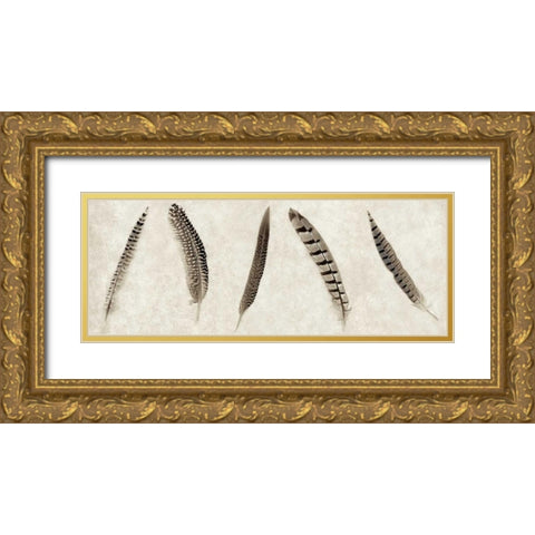 Feathers Panel - 1 Gold Ornate Wood Framed Art Print with Double Matting by Blaustein, Alan