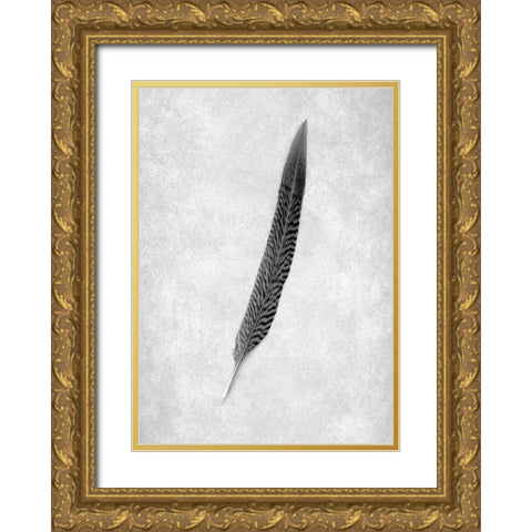 Feathers - 4 Gold Ornate Wood Framed Art Print with Double Matting by Blaustein, Alan