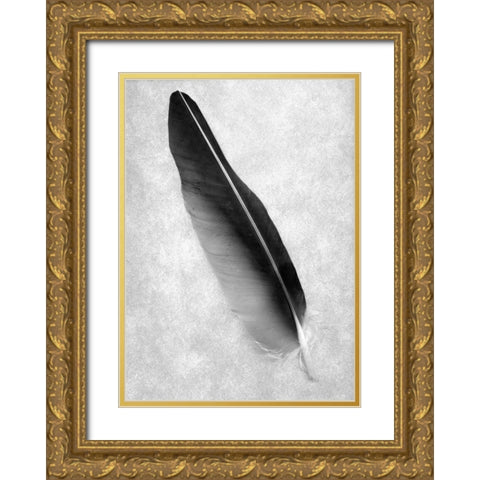 Feathers - 7 Gold Ornate Wood Framed Art Print with Double Matting by Blaustein, Alan