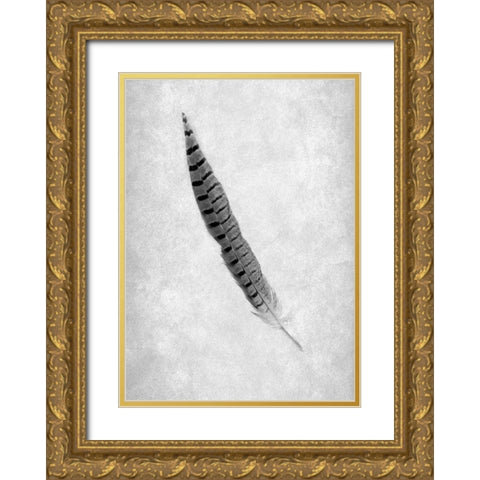 Feathers - 8 Gold Ornate Wood Framed Art Print with Double Matting by Blaustein, Alan