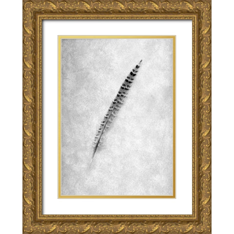 Feathers - 9 Gold Ornate Wood Framed Art Print with Double Matting by Blaustein, Alan