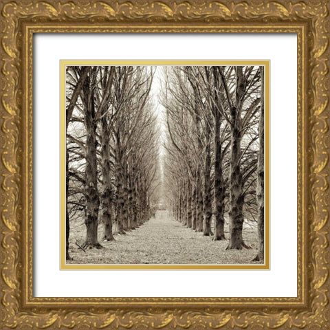 Hampton Gates Promenade - 3 Gold Ornate Wood Framed Art Print with Double Matting by Blaustein, Alan