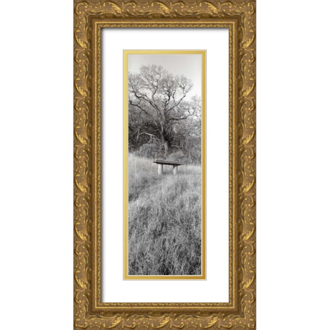 Novato Oak Gold Ornate Wood Framed Art Print with Double Matting by Blaustein, Alan