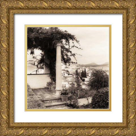 Jardin del Rey Moro Gold Ornate Wood Framed Art Print with Double Matting by Blaustein, Alan