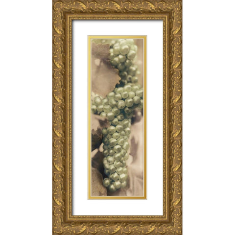 Chardonnay Gold Ornate Wood Framed Art Print with Double Matting by Blaustein, Alan