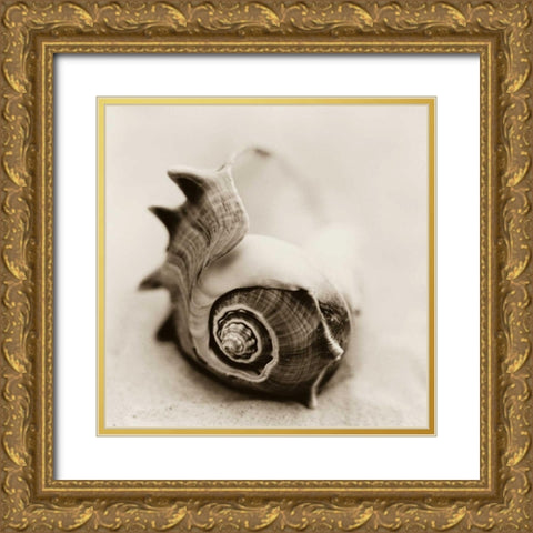 La Playa No2 Gold Ornate Wood Framed Art Print with Double Matting by Blaustein, Alan