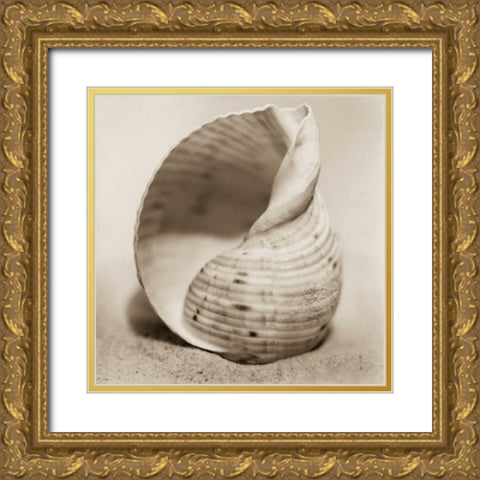 La Playa No4 Gold Ornate Wood Framed Art Print with Double Matting by Blaustein, Alan