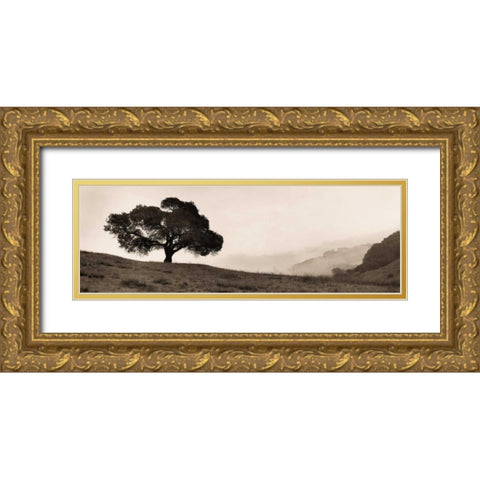 Black Oak Tree Gold Ornate Wood Framed Art Print with Double Matting by Blaustein, Alan