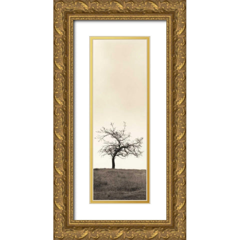 Cherry Blossom Tree Gold Ornate Wood Framed Art Print with Double Matting by Blaustein, Alan