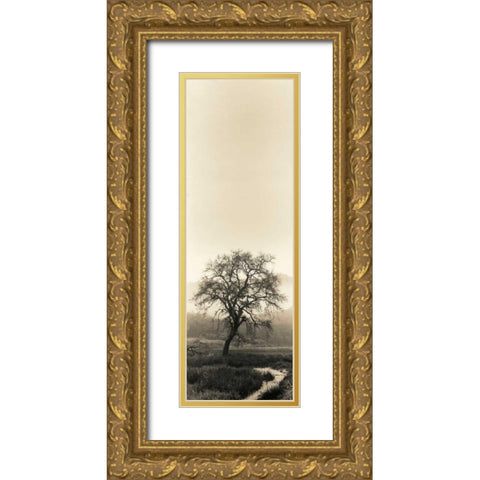 Valley Oak Tree Gold Ornate Wood Framed Art Print with Double Matting by Blaustein, Alan