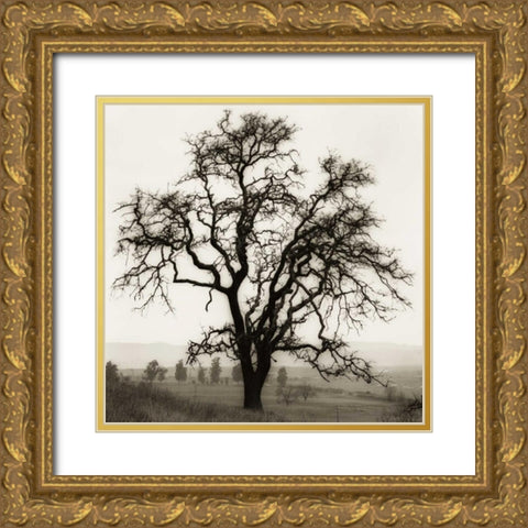 Country Oak Tree Gold Ornate Wood Framed Art Print with Double Matting by Blaustein, Alan