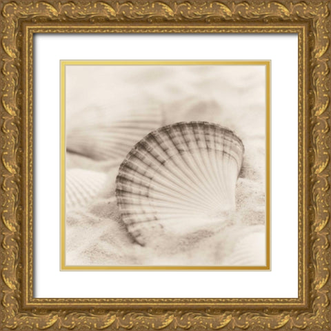 La Mer 3 Gold Ornate Wood Framed Art Print with Double Matting by Blaustein, Alan