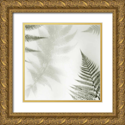 Ferns No. 2 Gold Ornate Wood Framed Art Print with Double Matting by Blaustein, Alan