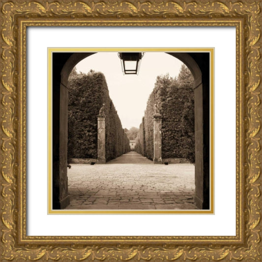 Perspective Image