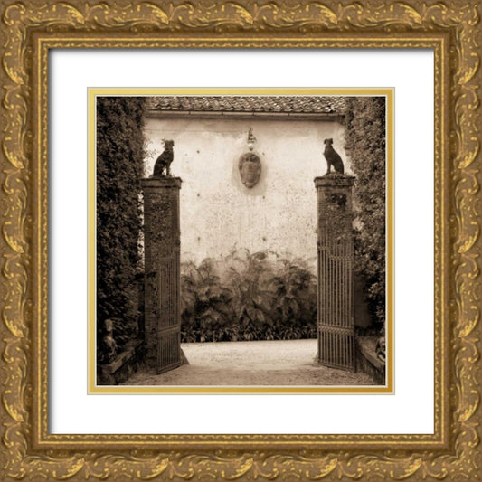 Perspective Image