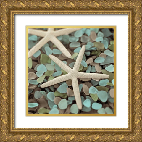 Aquatic 1 Gold Ornate Wood Framed Art Print with Double Matting by Blaustein, Alan