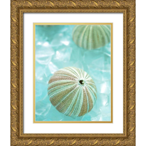 Seaglass 4 Gold Ornate Wood Framed Art Print with Double Matting by Blaustein, Alan