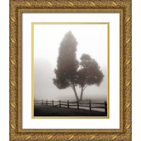 Cedar Tree and Fence Gold Ornate Wood Framed Art Print with Double Matting by Bell, Nicholas