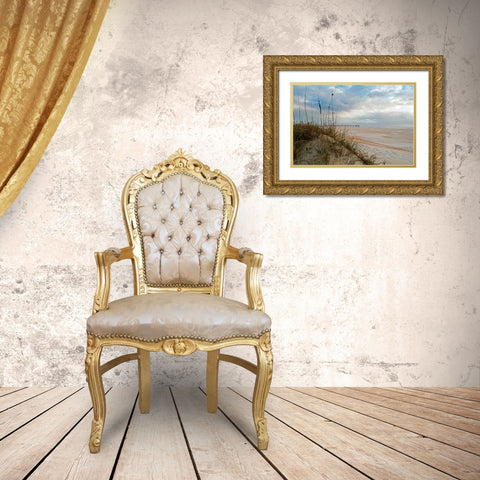 Sand Dunes I Gold Ornate Wood Framed Art Print with Double Matting by Burdick, Chuck