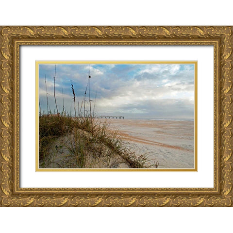 Sand Dunes I Gold Ornate Wood Framed Art Print with Double Matting by Burdick, Chuck