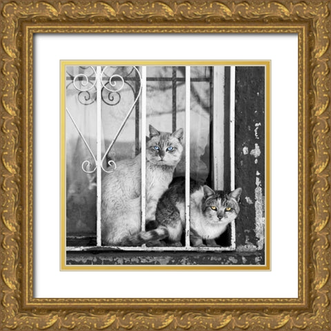 The Stare Gold Ornate Wood Framed Art Print with Double Matting by Bertelli, Jon
