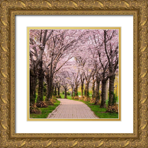 Cherry Blossom Trail Gold Ornate Wood Framed Art Print with Double Matting by Burdick, Chuck
