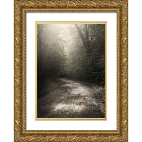 Back Country Road Gold Ornate Wood Framed Art Print with Double Matting by Bell, Nicholas