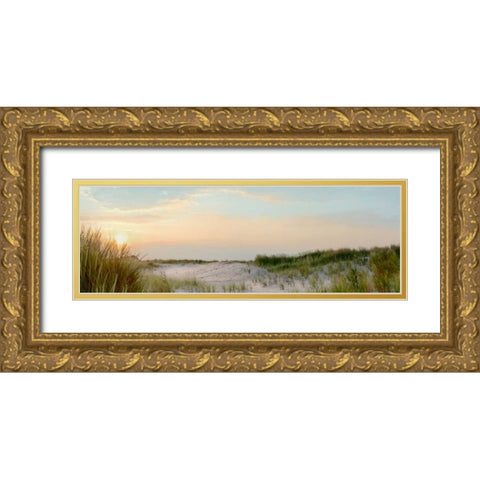 Island Sand Dunes Sunrise No. 1 Gold Ornate Wood Framed Art Print with Double Matting by Blaustein, Alan