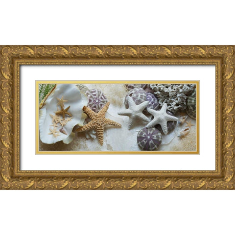 Island Tide Pool No. 4 Gold Ornate Wood Framed Art Print with Double Matting by Blaustein, Alan