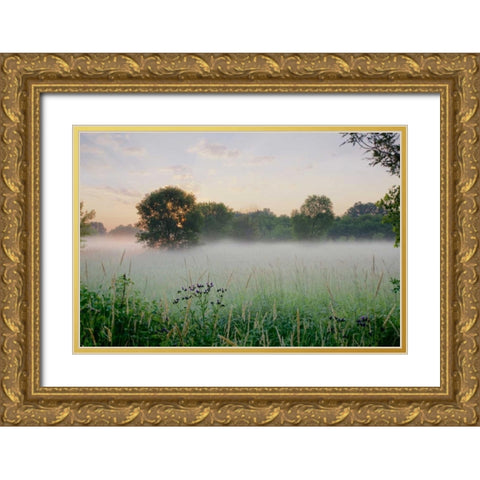 Western Plains Sunrise Gold Ornate Wood Framed Art Print with Double Matting by Blaustein, Alan